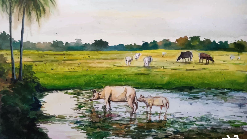 The countryside, a small water body, and cow grazing in the pasture.