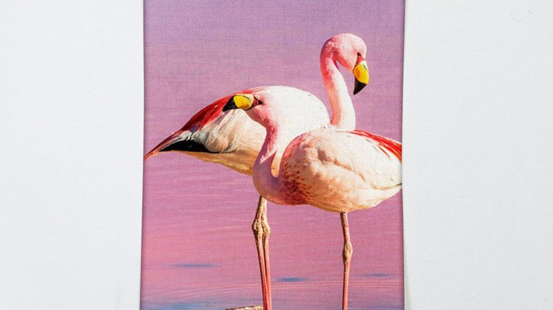 Pink flamingos represent beauty, grace, and innocence