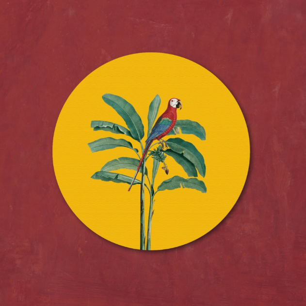Circular Canvas