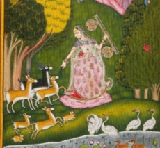 Raga Series