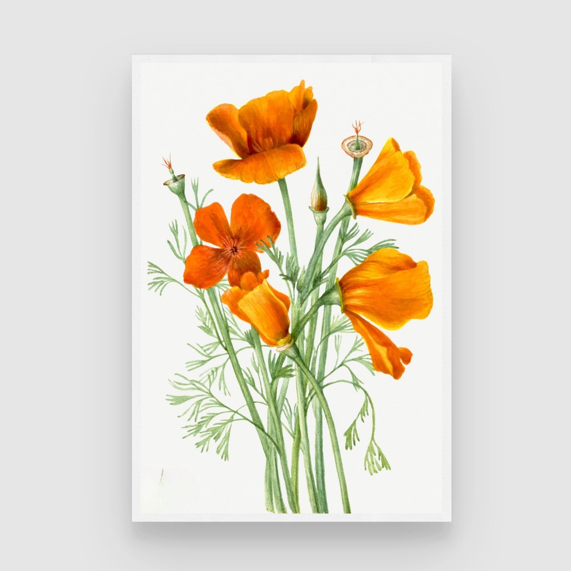 Amber Bloom Botanical Wall Art | Orange Floral Canvas Print India 2 : 3 Vertical Premium Wall Art Canvas by MeriDeewar