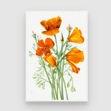 Amber Bloom Botanical Wall Art | Orange Floral Canvas Print India 2 : 3 Vertical Premium Wall Art Canvas by MeriDeewar