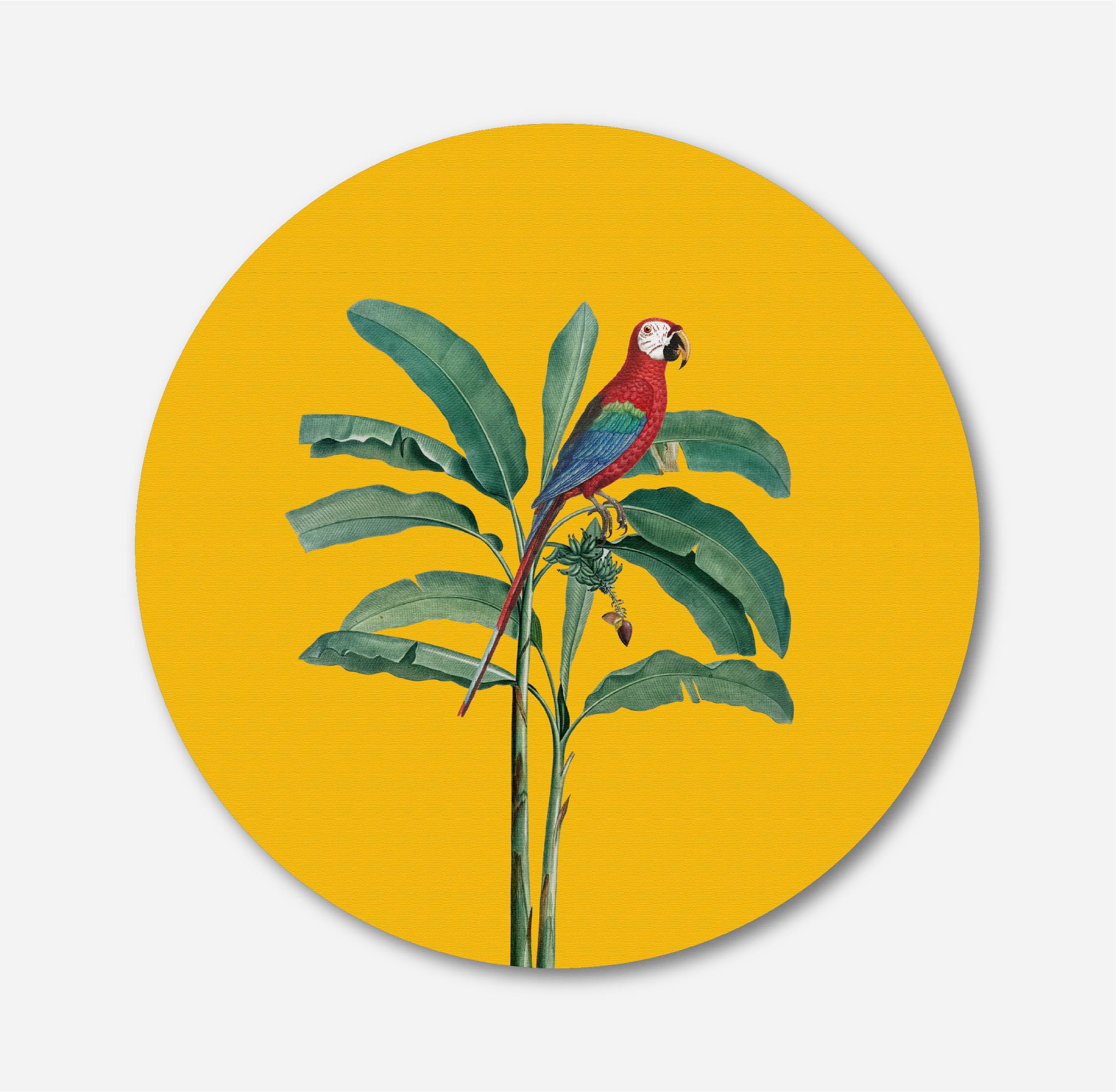 Banana Leaf & Parrot Circular Canvas Frame Circular Canvas Frame Premium Wall Art Canvas by MeriDeewar