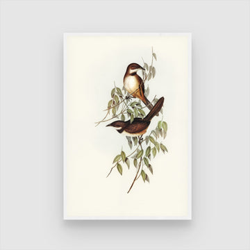 Beautiful Bird Painting - Nature-Inspired Home Decor | MeriDeewar 2 : 3 Vertical Premium Wall Art Canvas by MeriDeewar