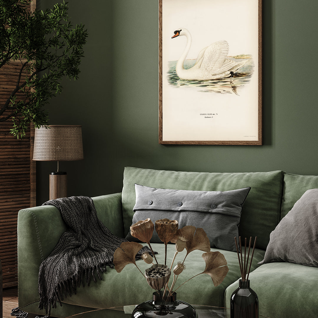 Beautiful Swan Vintage Painting 3 : 4 Vertical New Premium Wall Art Canvas by MeriDeewar