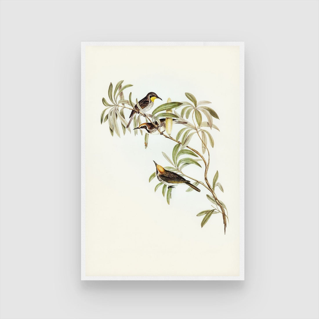 Birds on Tree Canvas Art - Perfect for Living Rooms 2 : 3 Vertical Premium Wall Art Canvas by MeriDeewar