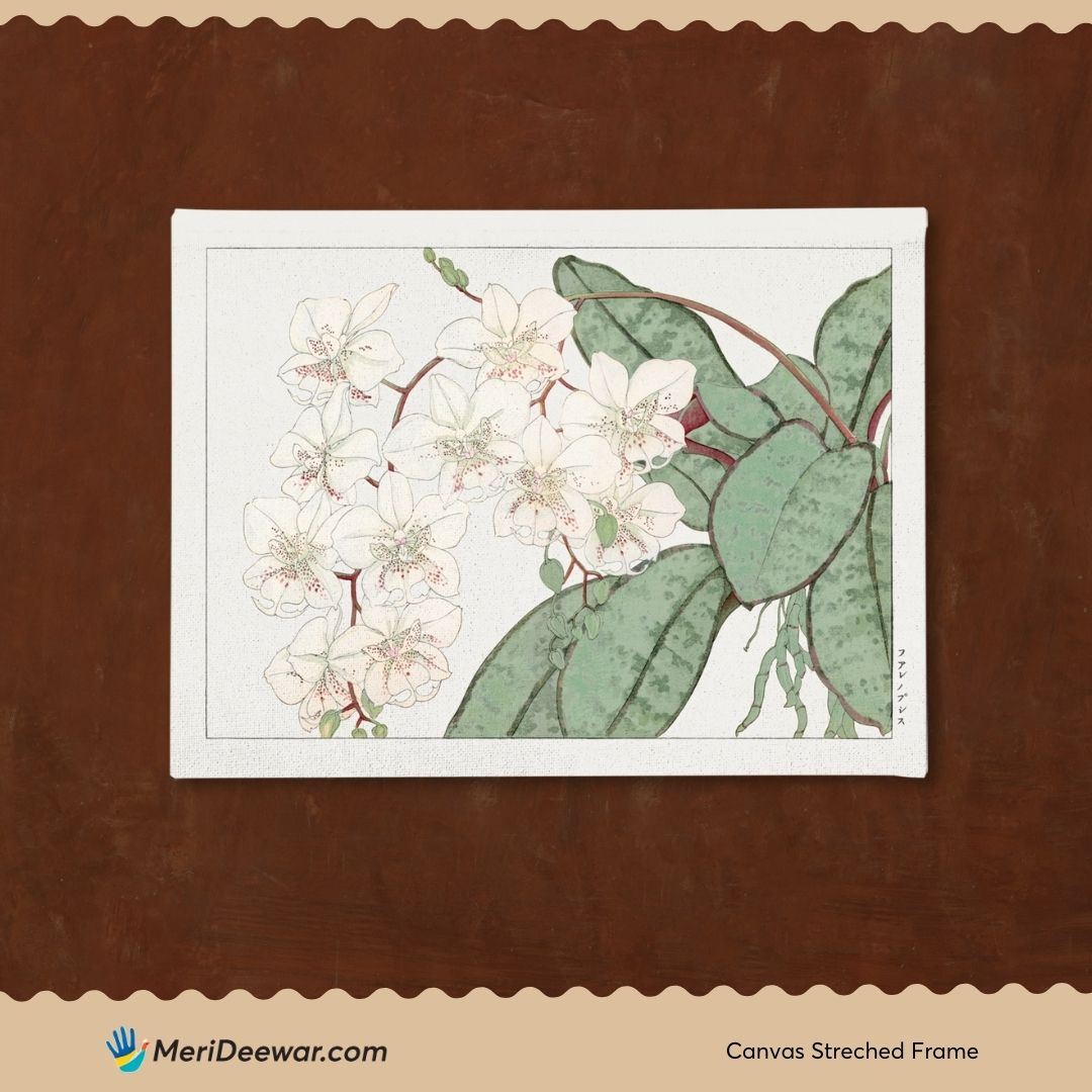 botanical Tanigami Konan Western Flower 3 : 4 Horizontal New Premium Wall Art Canvas by MeriDeewar