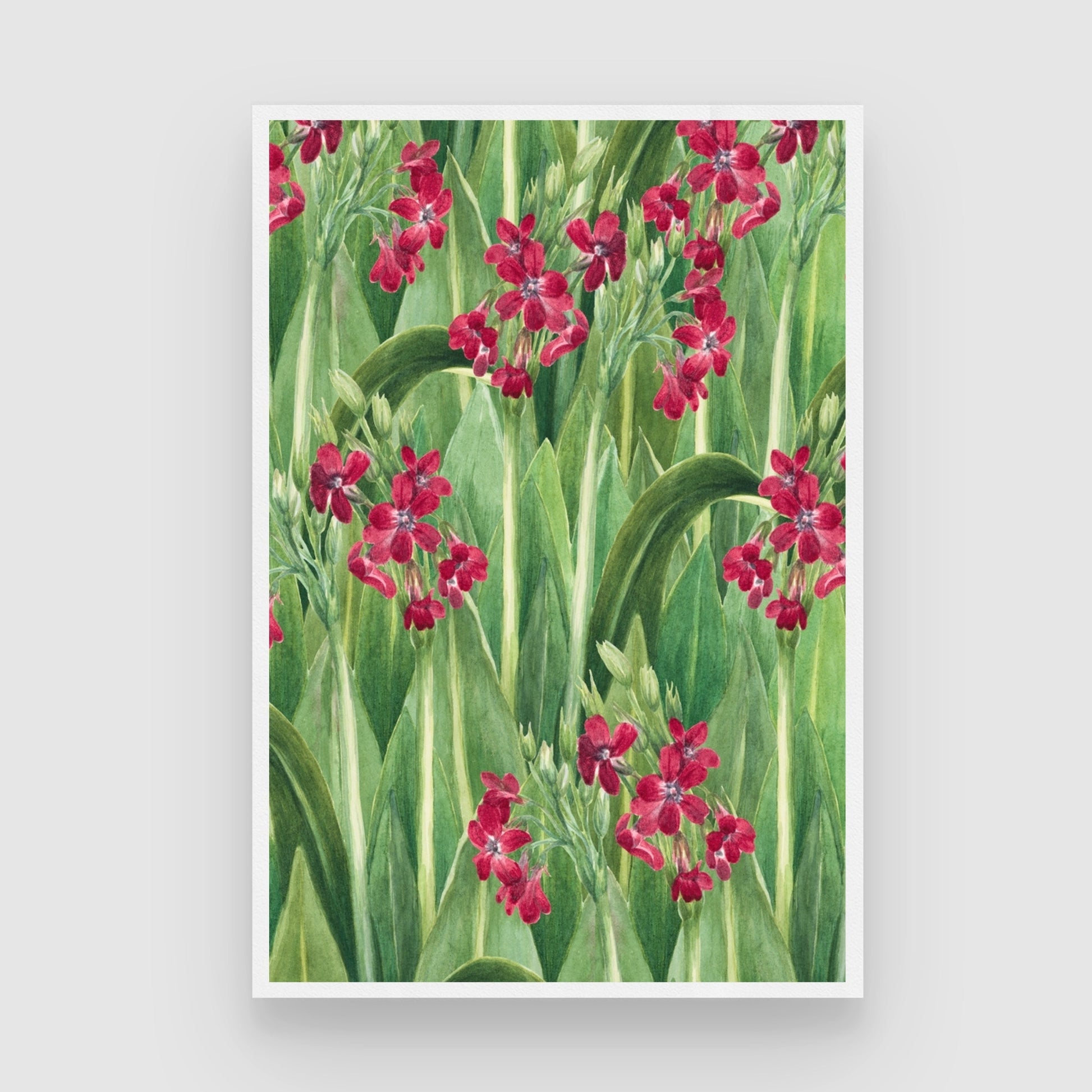 Crimson Garden – Botanical Floral Canvas Wall Art 2 : 3 Vertical Premium Wall Art Canvas by MeriDeewar