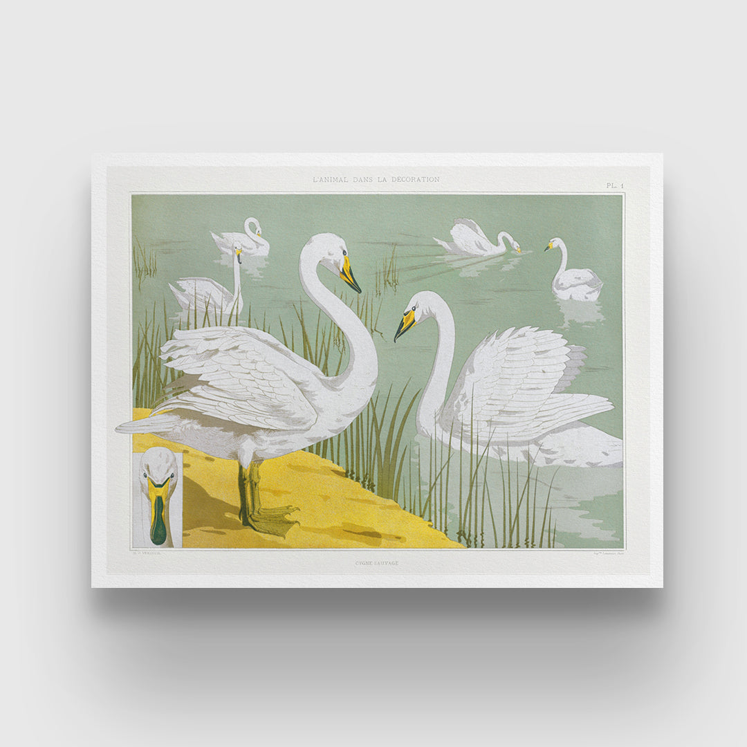 Cygne sauvage painting 3 : 4 Horizontal New Premium Wall Art Canvas by MeriDeewar