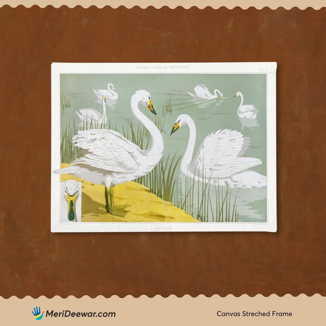 Cygne sauvage painting 3 : 4 Horizontal New Premium Wall Art Canvas by MeriDeewar