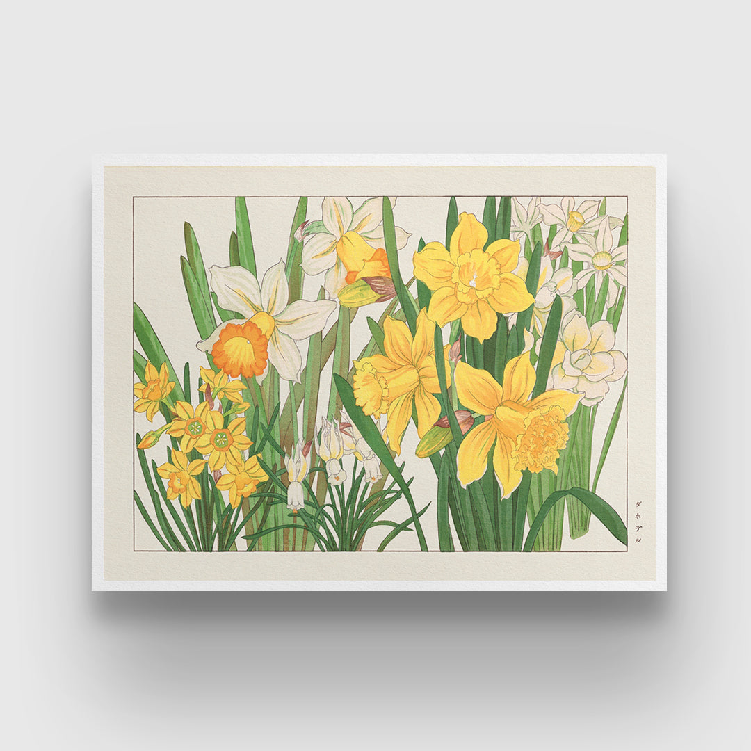 Daffodil Flower Painting 3 : 4 Horizontal New Premium Wall Art Canvas by MeriDeewar