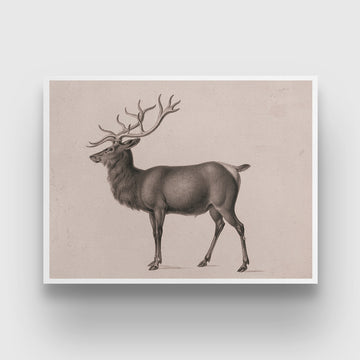 European Elk by Peter Rindisbacher 3 : 4 Horizontal New Premium Wall Art Canvas by MeriDeewar