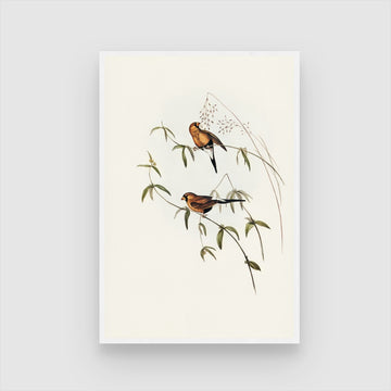 Graceful Bird Artwork: Perfect Wall Décor - MeriDeewar.com 2 : 3 Vertical Premium Wall Art Canvas by MeriDeewar