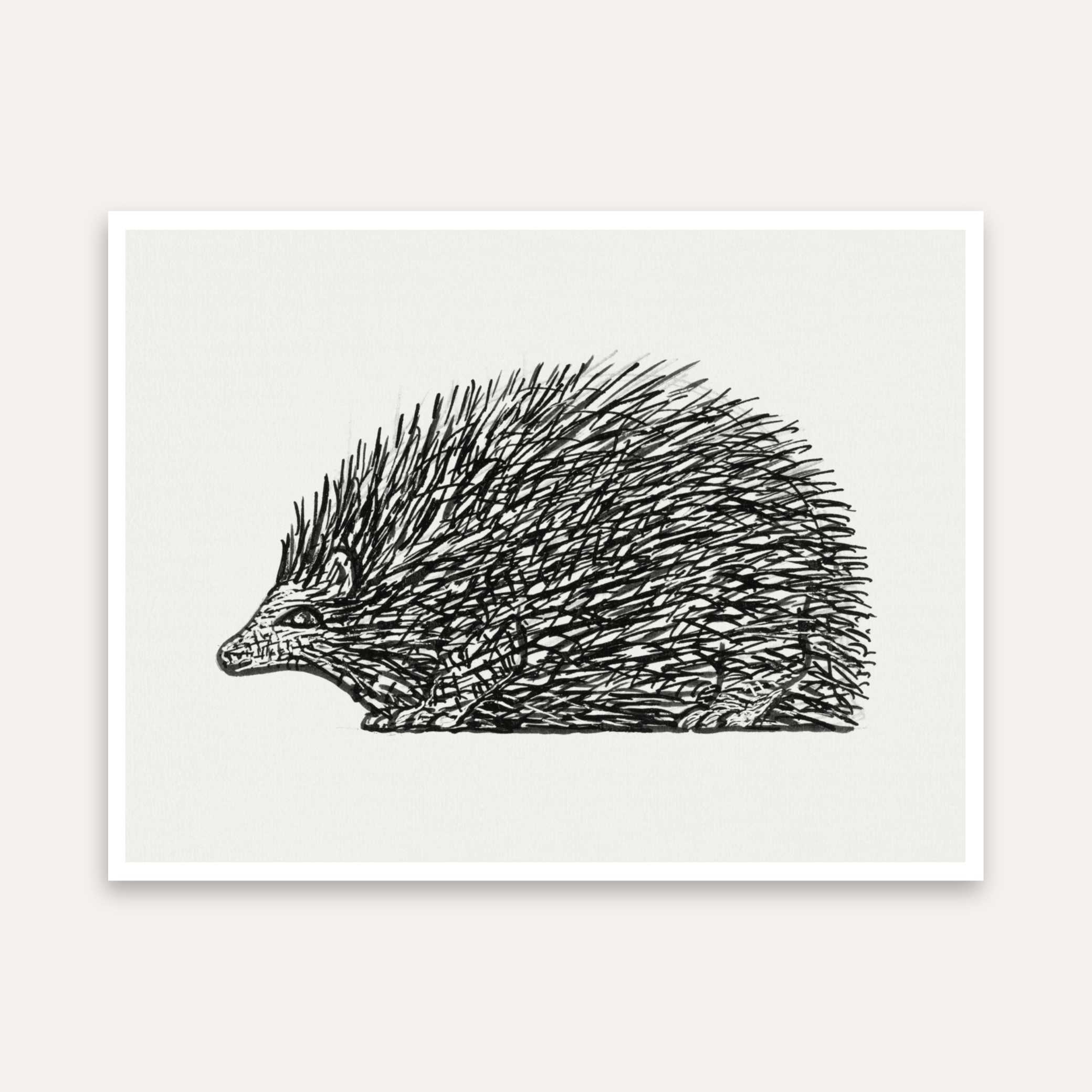 Hedgehog Wall Painting | Cute Animal Art for Living Room & Bedroom | MeriDeewar 5 : 4 Horizontal Premium Wall Art Canvas by MeriDeewar