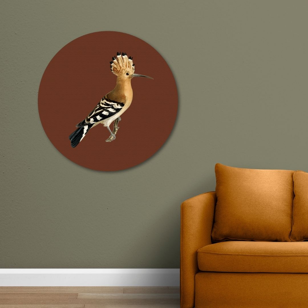 Hoopoe vintage Painting Circular Canvas Frame Circular Canvas Frame Premium Wall Art Canvas by MeriDeewar
