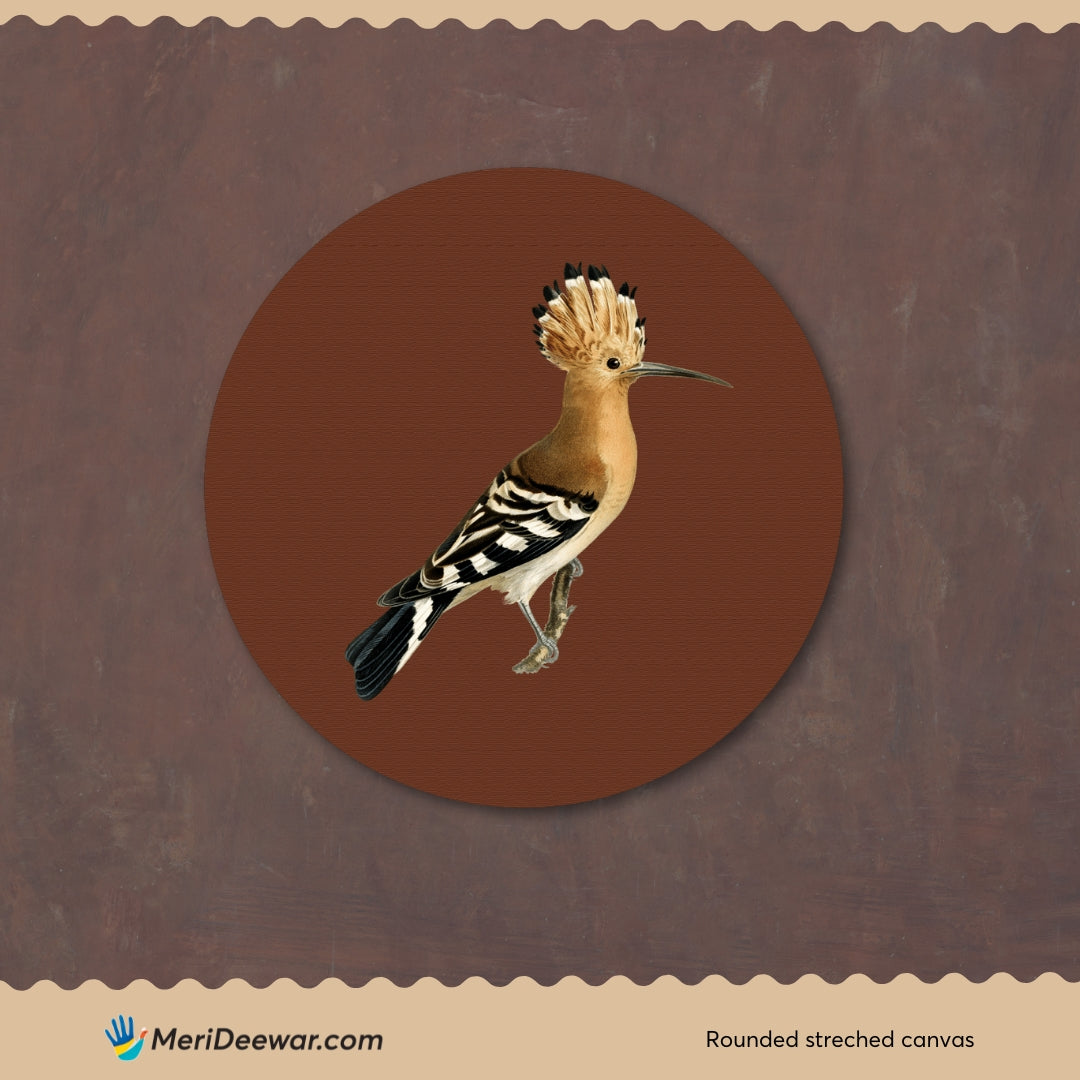 Hoopoe vintage Painting Circular Canvas Frame Circular Canvas Frame Premium Wall Art Canvas by MeriDeewar