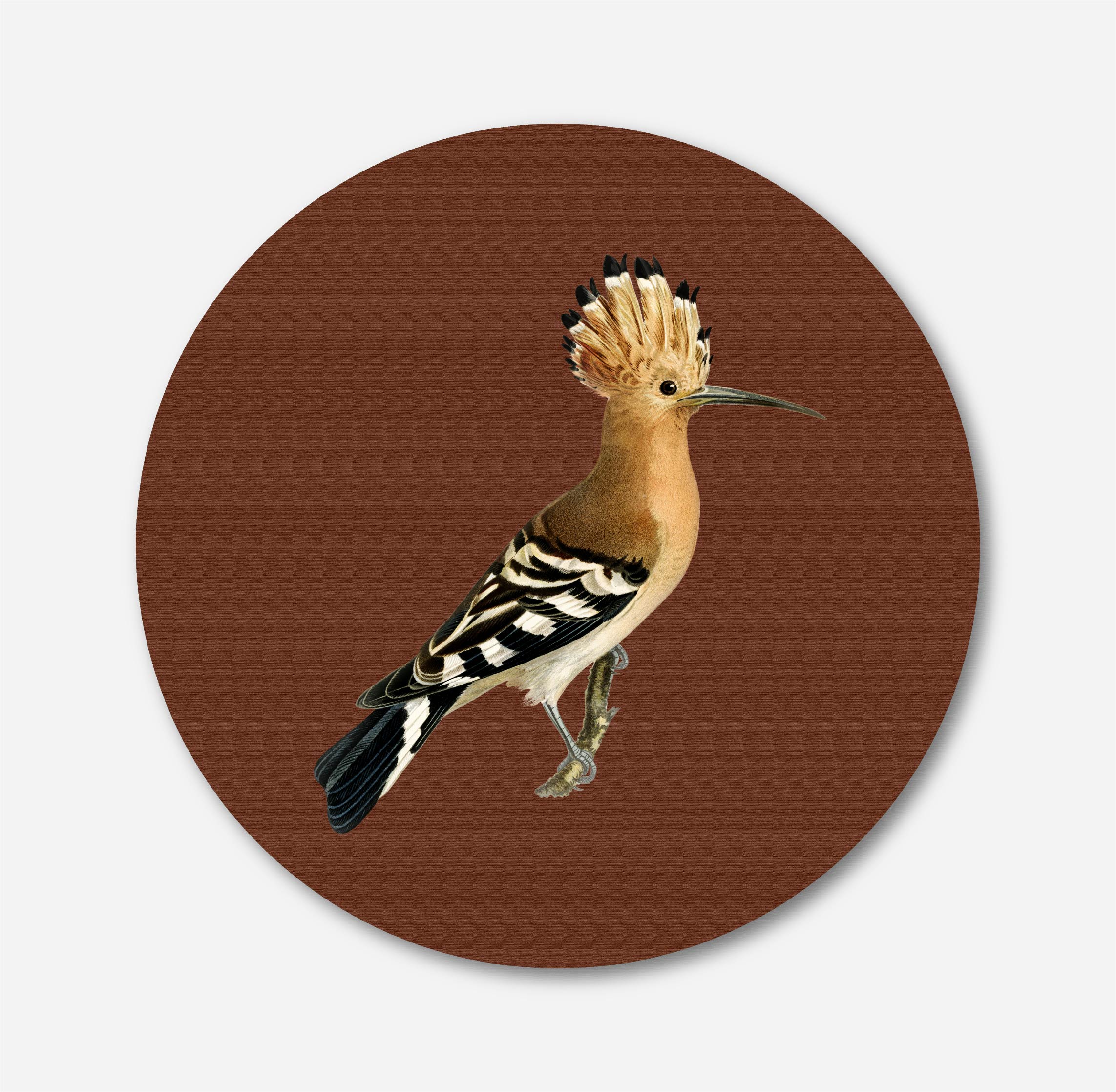 Hoopoe vintage Painting Circular Canvas Frame Circular Canvas Frame Premium Wall Art Canvas by MeriDeewar