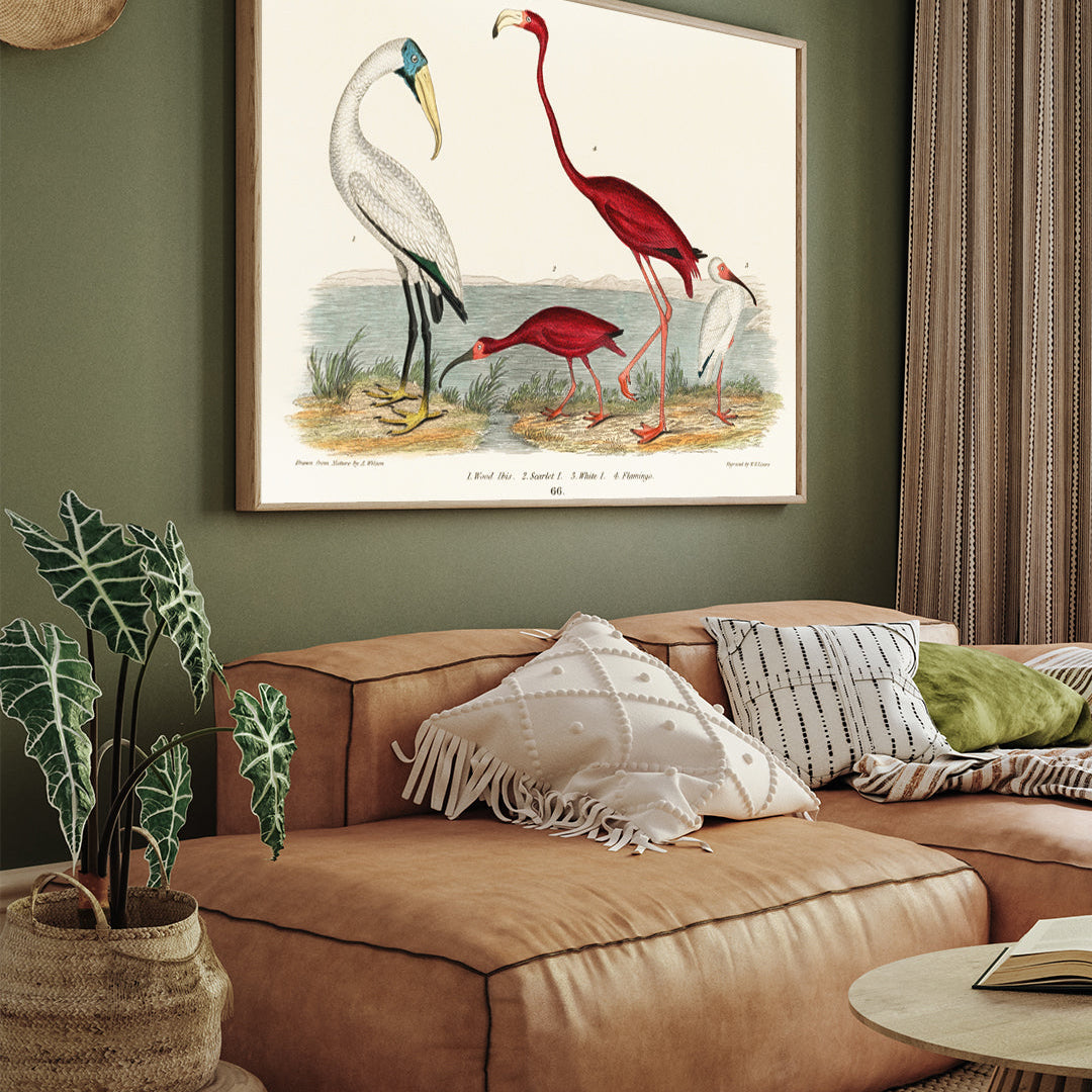 Ibis and Scarlet Flamingo Painting 3 : 4 Horizontal New Premium Wall Art Canvas by MeriDeewar