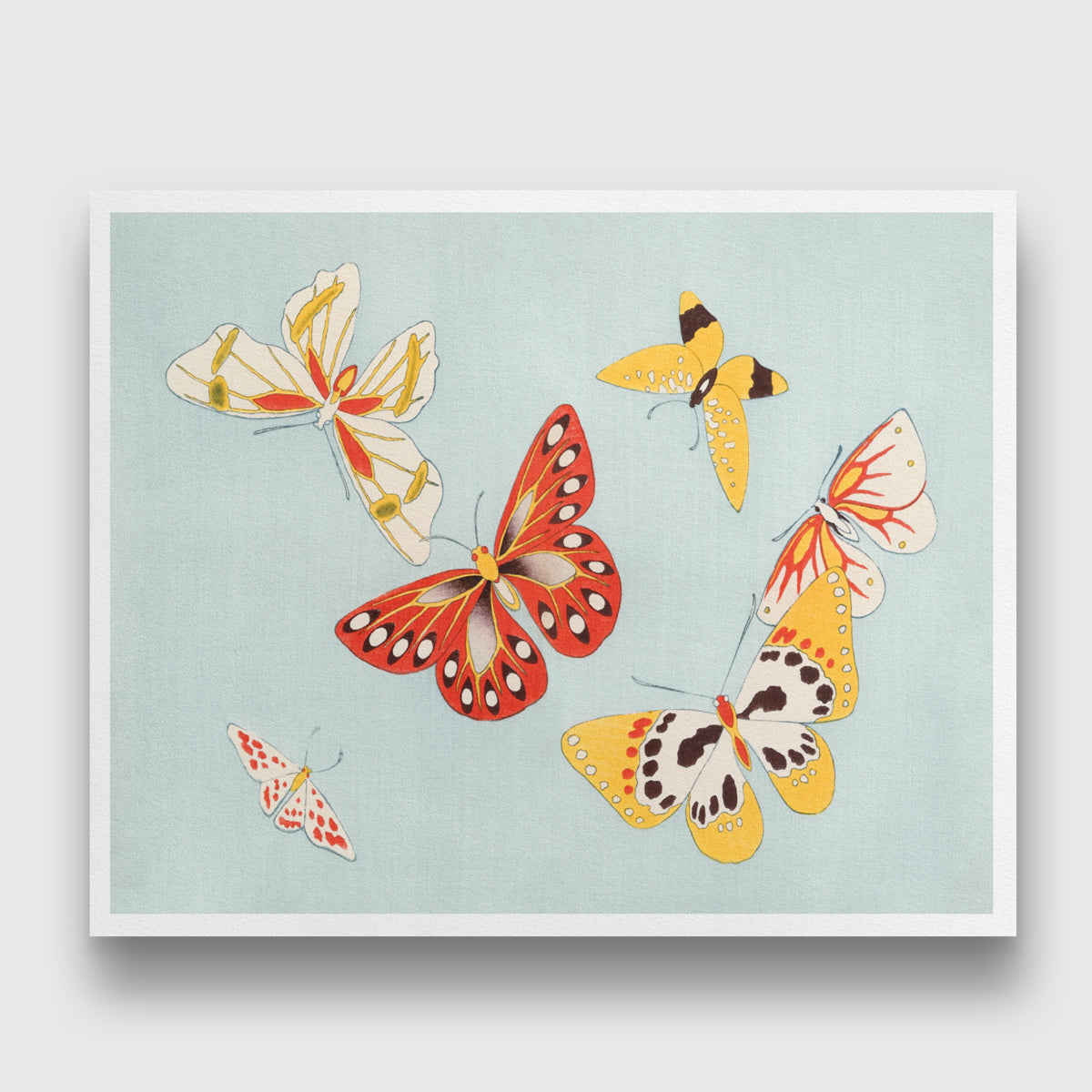 Japanese butterfly By Kamisaka Sekka 3 : 4 Horizontal New Premium Wall Art Canvas by MeriDeewar