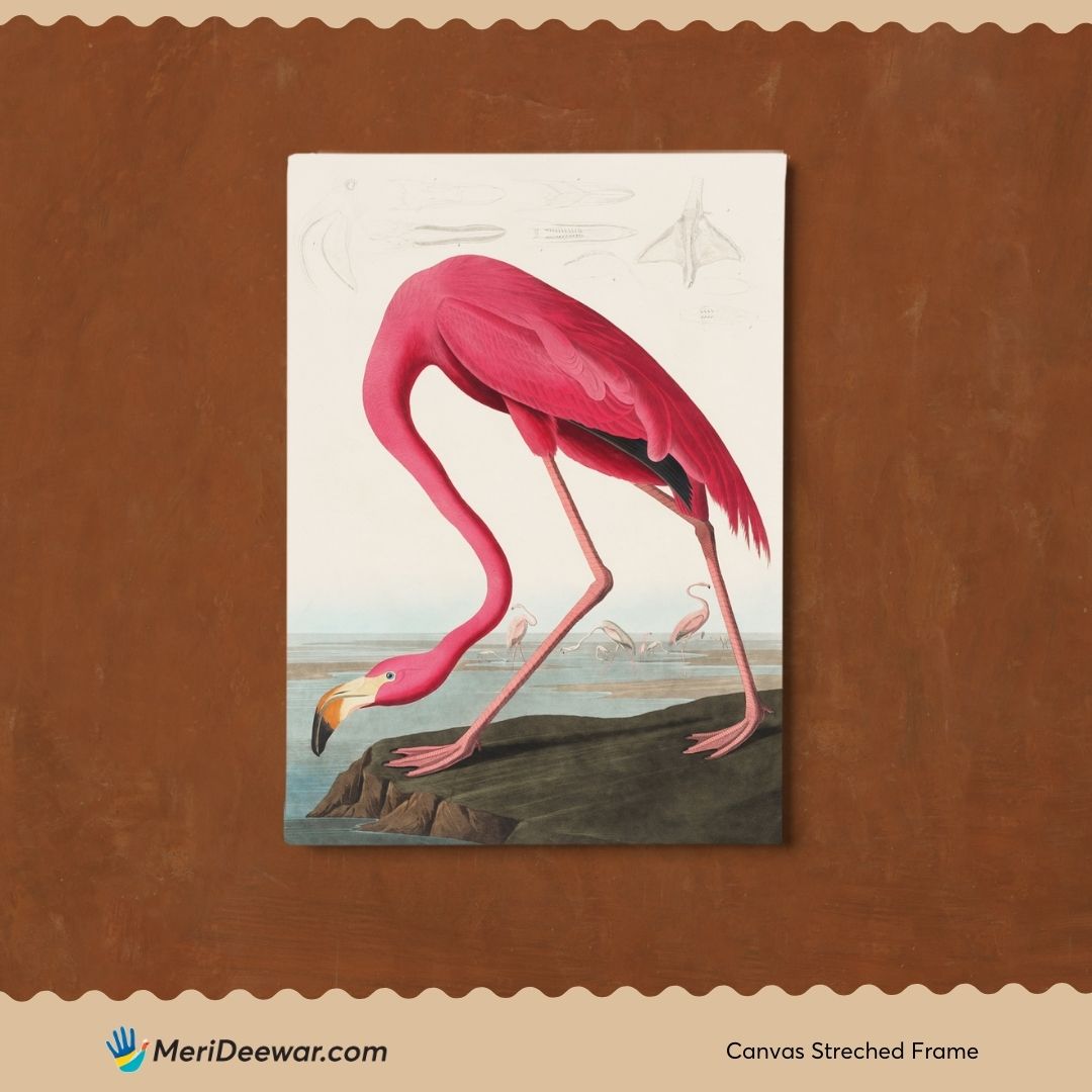 John James Audubon American Flamingo Poster 3 : 4 Vertical New Premium Wall Art Canvas by MeriDeewar