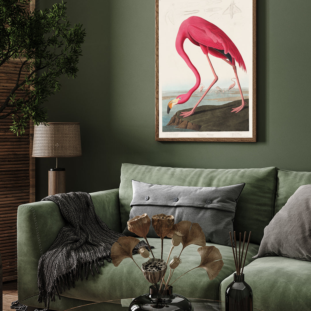 John James Audubon American Flamingo Poster 3 : 4 Vertical New Premium Wall Art Canvas by MeriDeewar