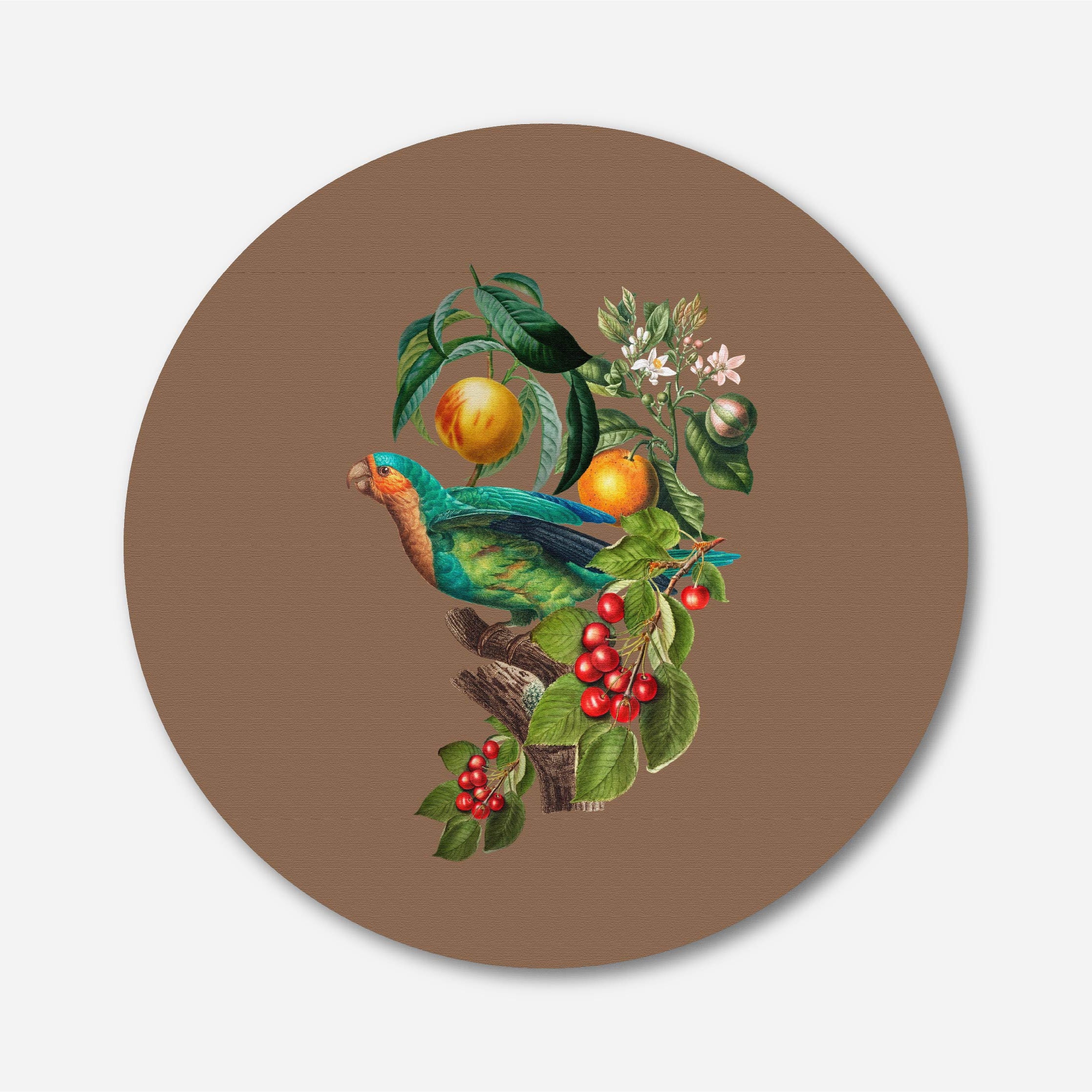 Jungle Parrot Bird Painting Circular Canvas Frame Circular Canvas Frame Premium Wall Art Canvas by MeriDeewar