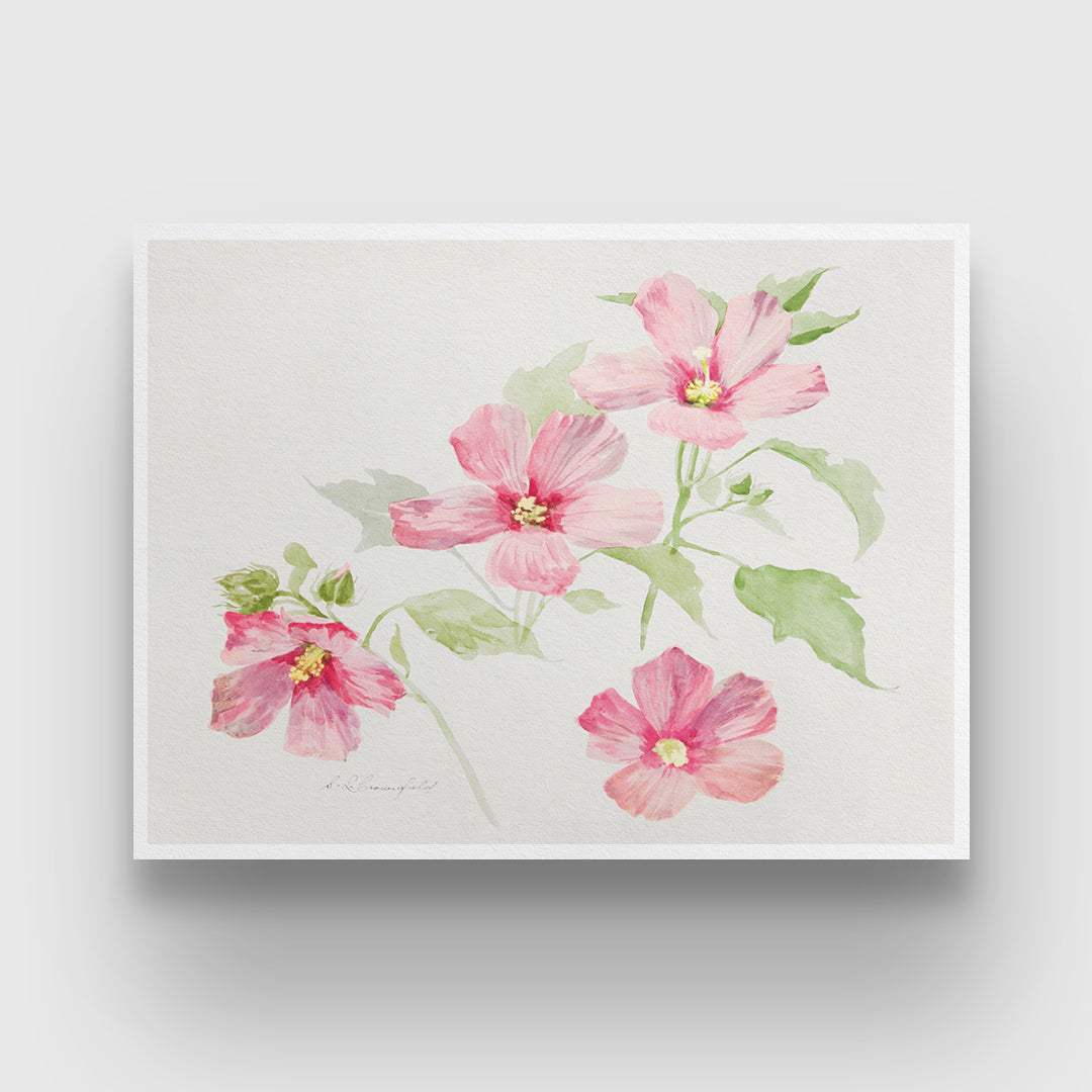 Mallow Flower Painting 3 : 4 Horizontal New Premium Wall Art Canvas by MeriDeewar
