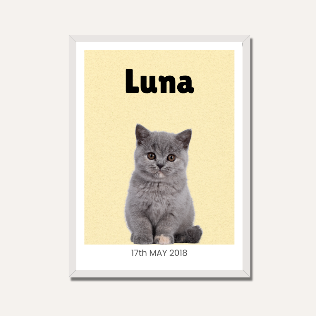 Personalized Cat Portrait Photo Frame | Custom Minimalist Pet Wall Art custom Premium Wall Art Canvas by MeriDeewar