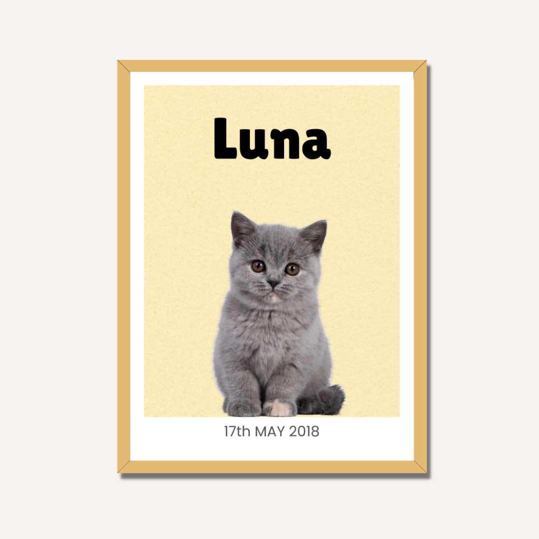 Personalized Cat Portrait Photo Frame | Custom Minimalist Pet Wall Art custom Premium Wall Art Canvas by MeriDeewar