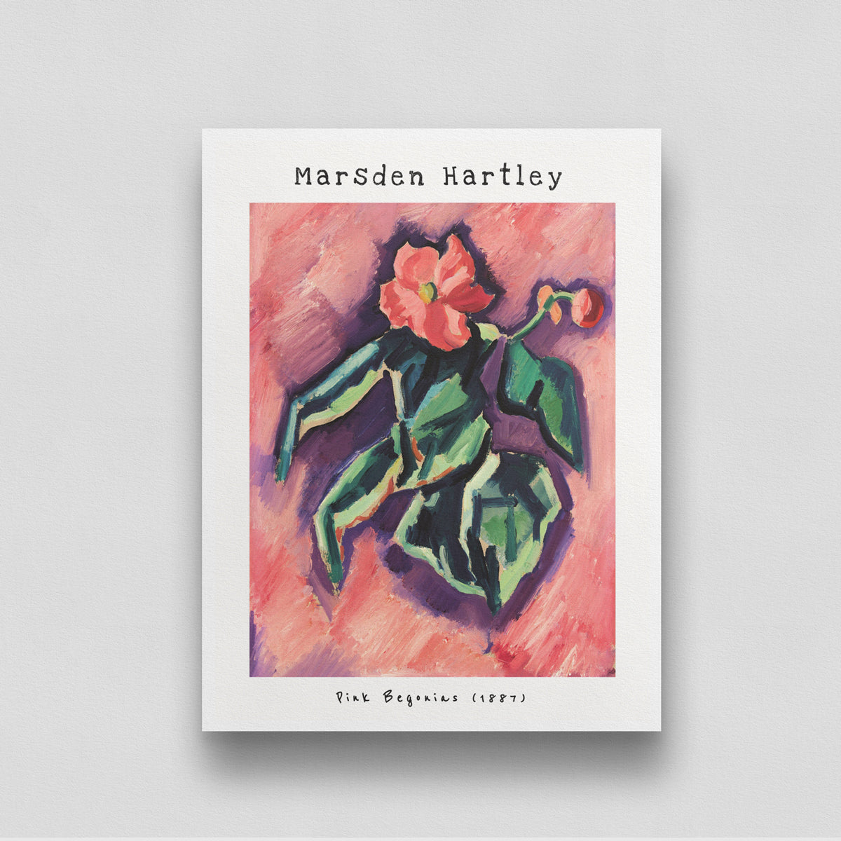 Pink Begonias By Marsden Hartley 3 : 4 Vertical New Premium Wall Art Canvas by MeriDeewar