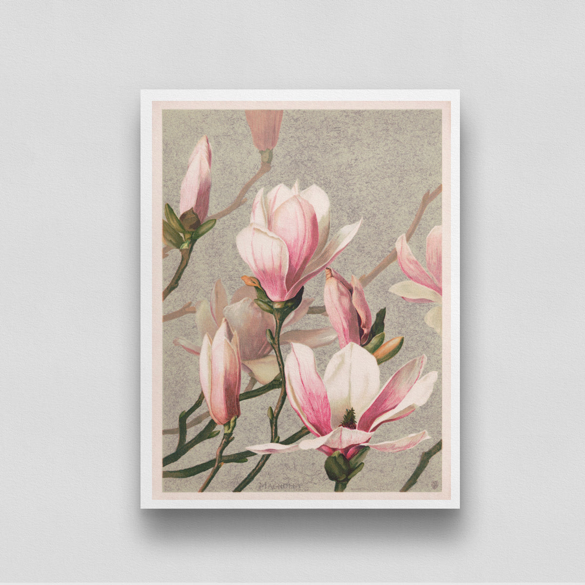 Pink Flowers Poster 3 : 4 Vertical New Premium Wall Art Canvas by MeriDeewar