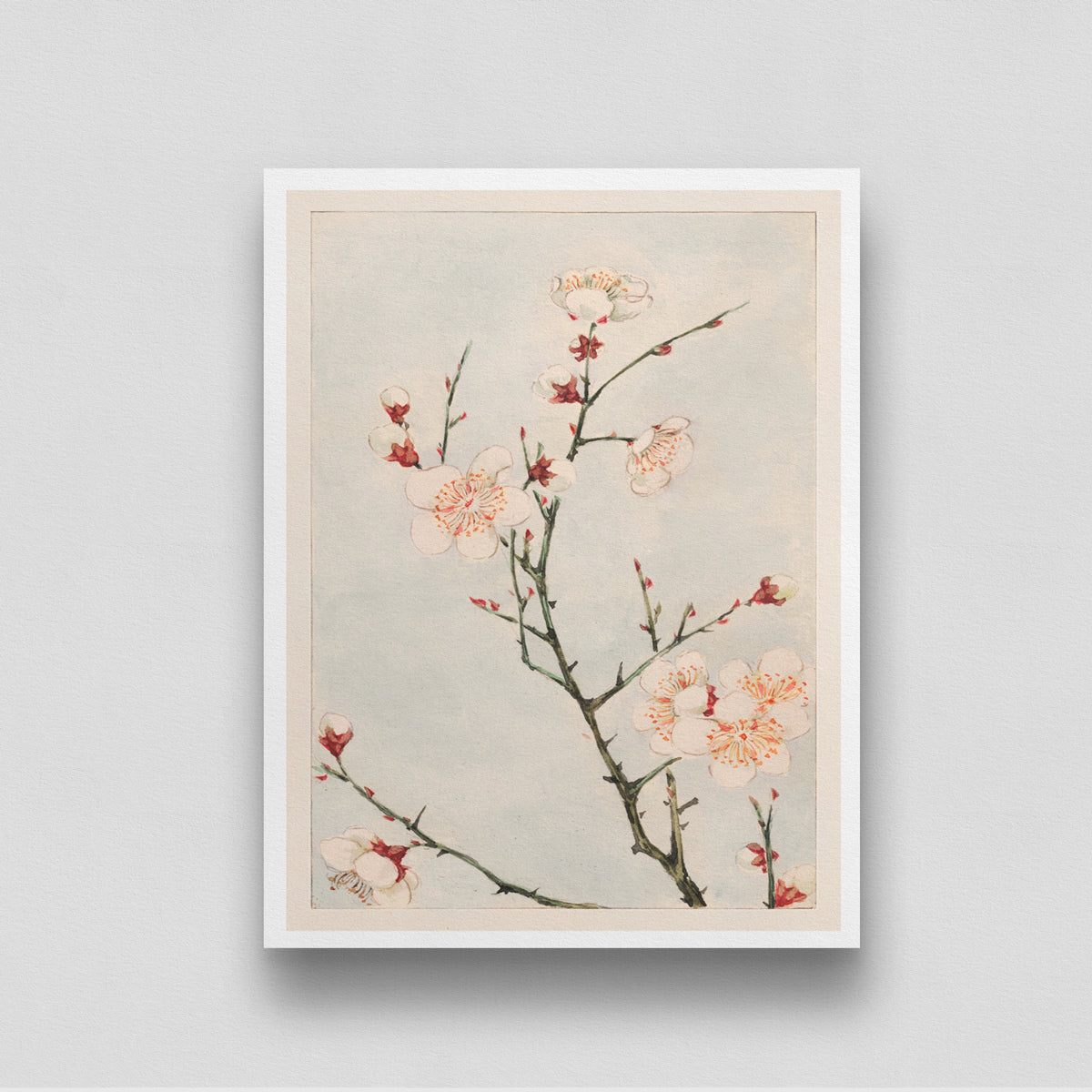 Plum Branches with Blossoms Vintage Painting by Megata Morikaga 3 : 4 Vertical New Premium Wall Art Canvas by MeriDeewar