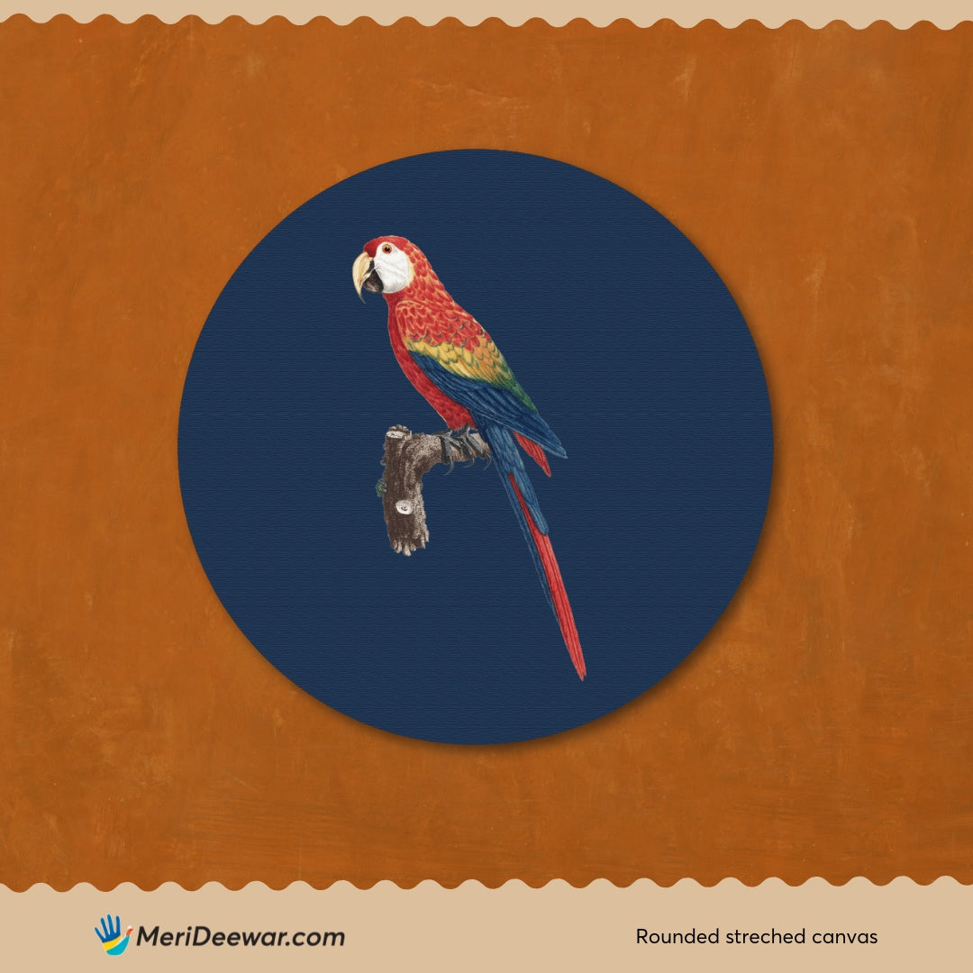 Red and Green Macaw Painting Circular Canvas Frame Circular Canvas Frame Premium Wall Art Canvas by MeriDeewar