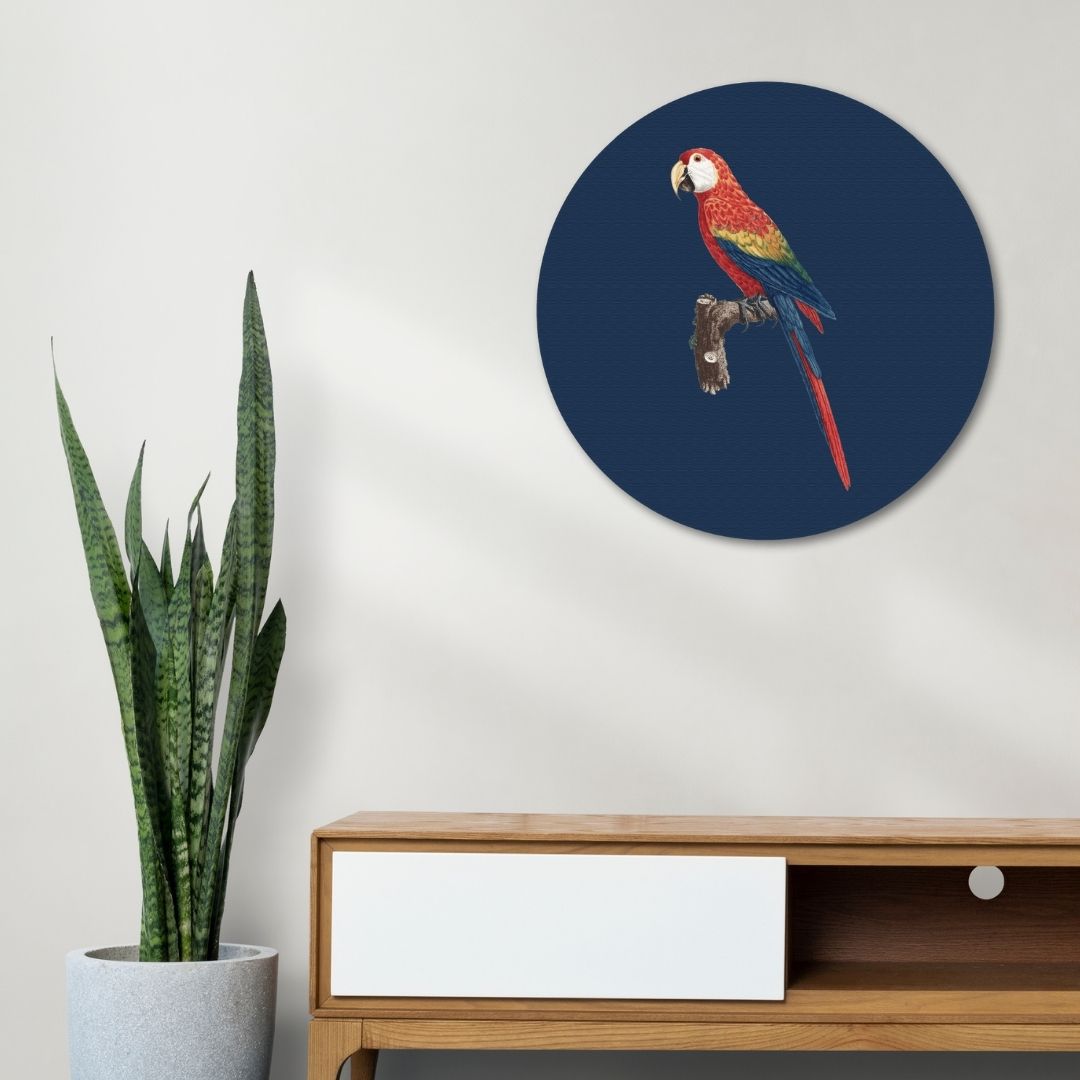 Red and Green Macaw Painting Circular Canvas Frame Circular Canvas Frame Premium Wall Art Canvas by MeriDeewar