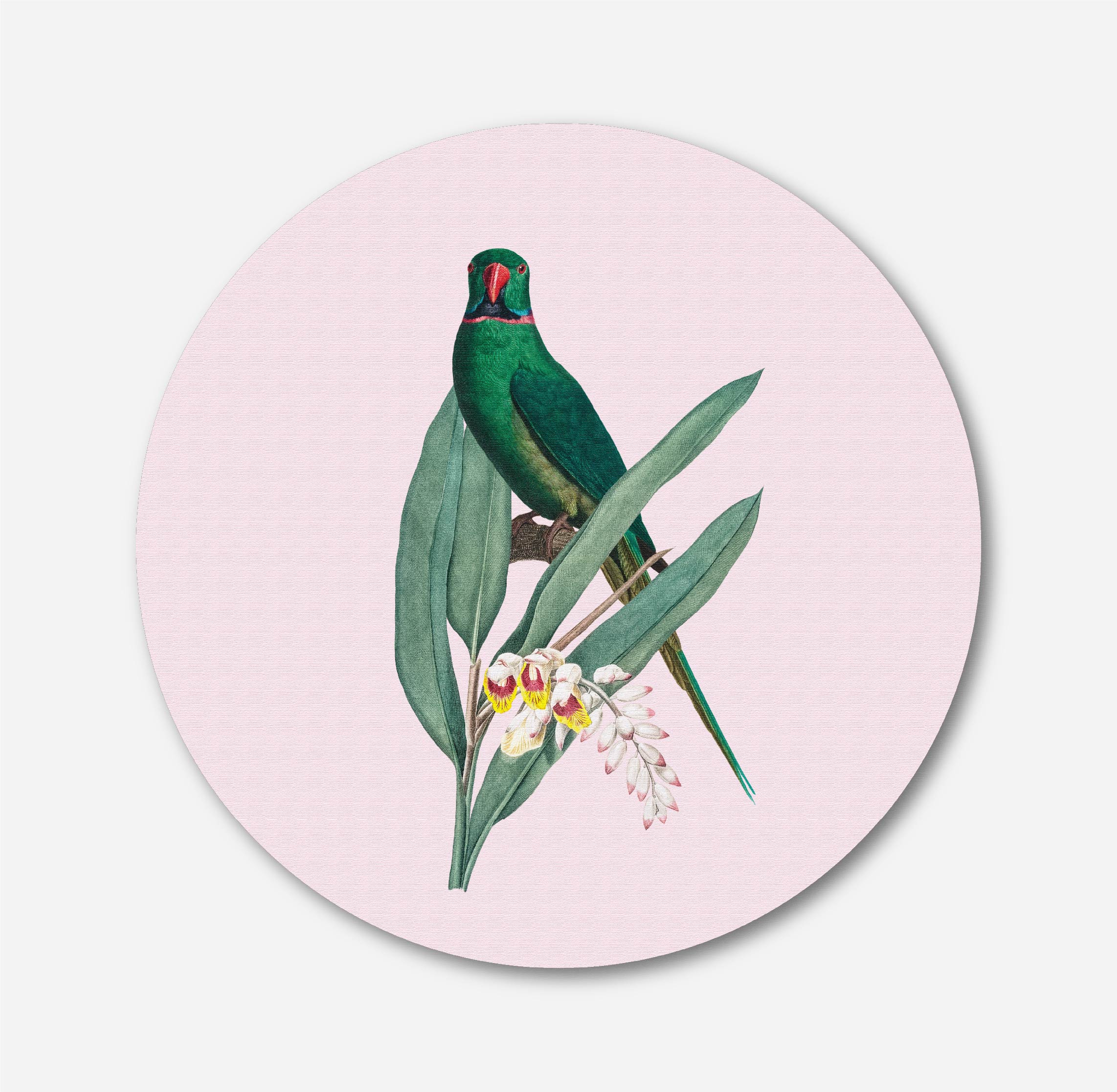 Rose-Ringed Parakeet Circular Canvas Frame Circular Canvas Frame Premium Wall Art Canvas by MeriDeewar