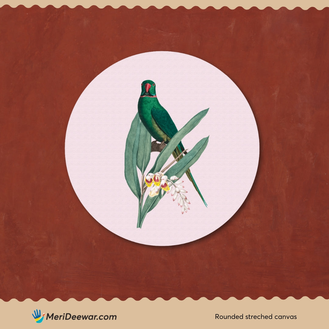 Rose-Ringed Parakeet Circular Canvas Frame Circular Canvas Frame Premium Wall Art Canvas by MeriDeewar