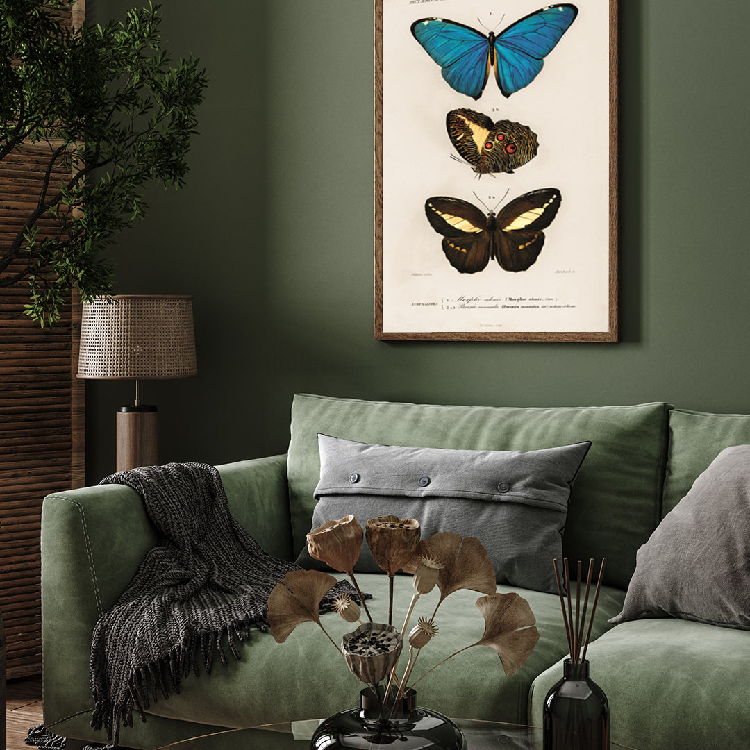 Three Colorful Butterflies Poster 3 : 4 Vertical New Premium Wall Art Canvas by MeriDeewar