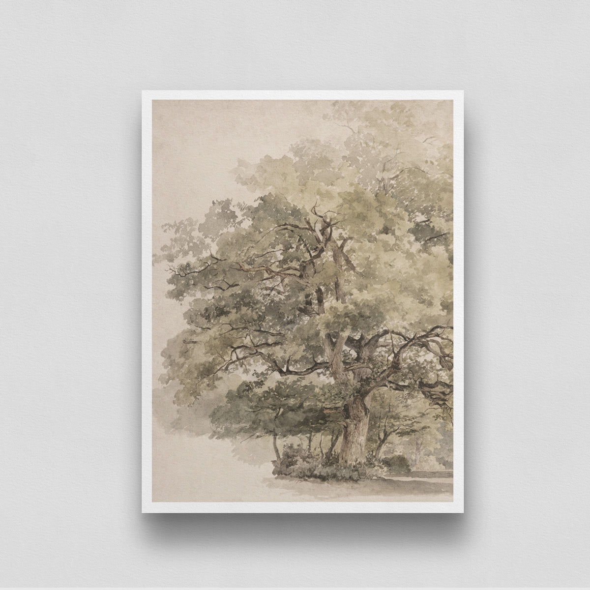 Tree Watercolor Vintage Painting by George Andries Roth 3 : 4 Vertical New Premium Wall Art Canvas by MeriDeewar
