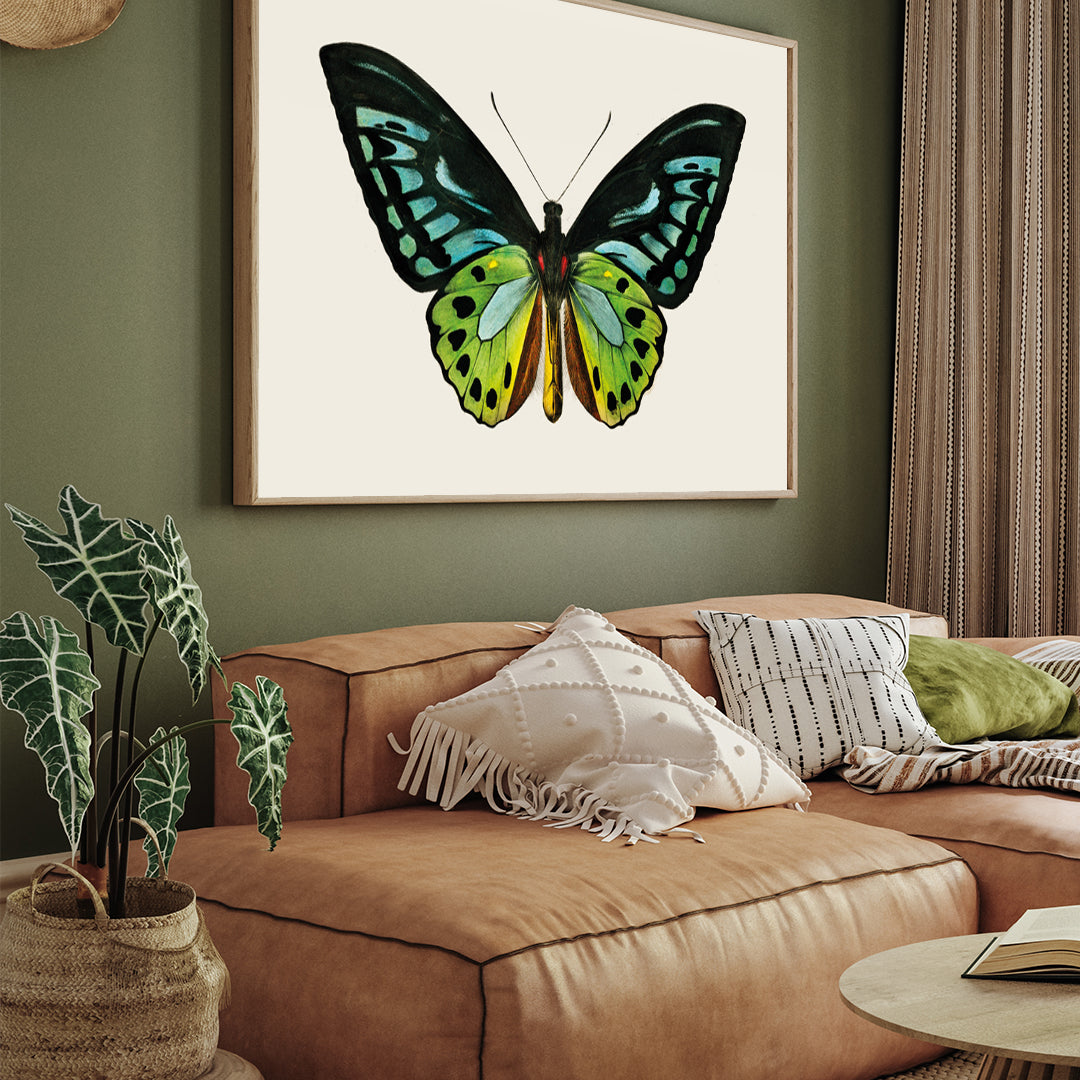 Vintage Butterfly Painting 3 : 4 Horizontal New Premium Wall Art Canvas by MeriDeewar