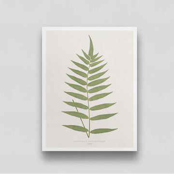 Vintage Green Leaf Poster 3 : 4 Vertical New Premium Wall Art Canvas by MeriDeewar