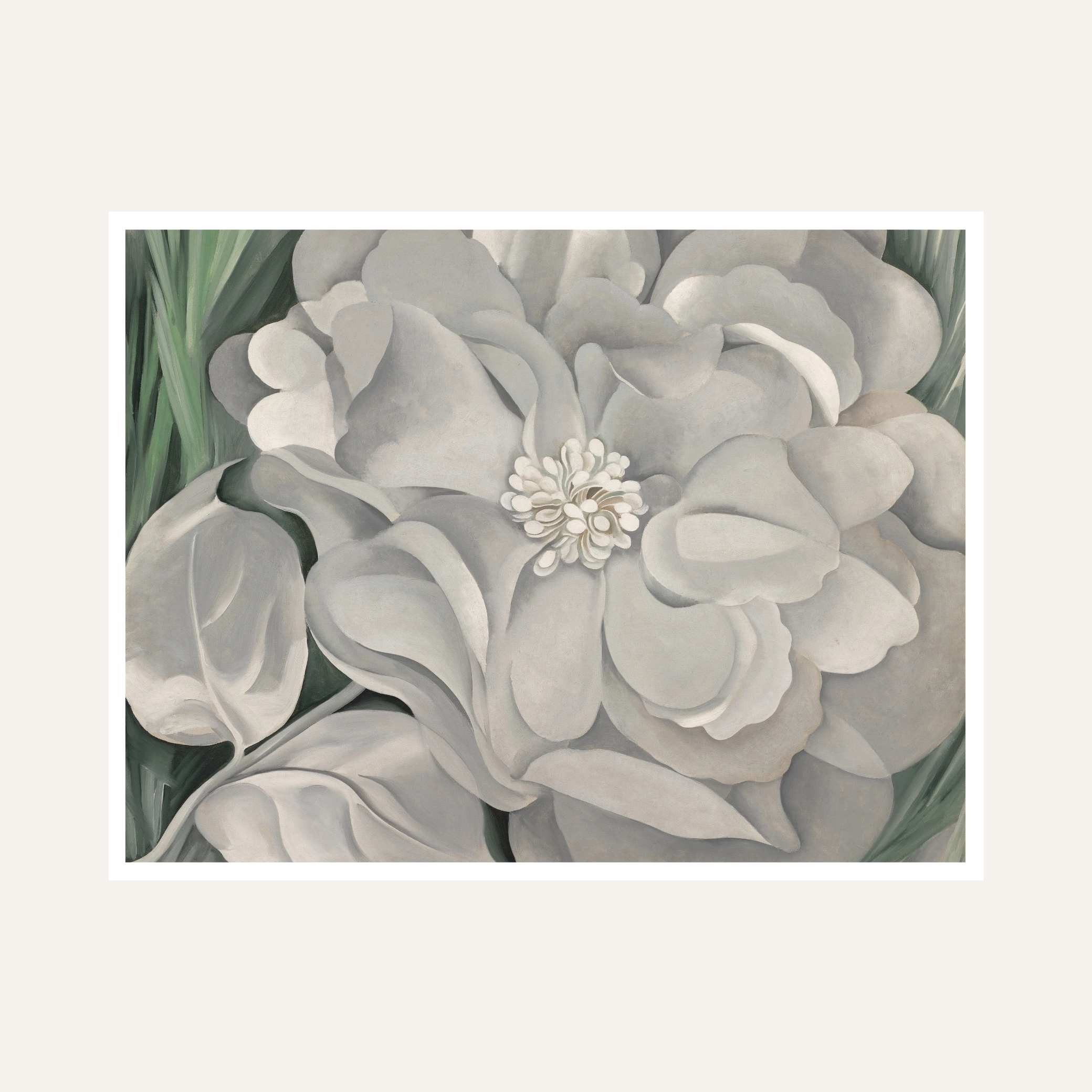 White Flower Painting for Living Room | Georgia O'Keeffe Floral Wall Art | Giclée Print 6 : 5 Horizontal Premium Wall Art Canvas by MeriDeewar