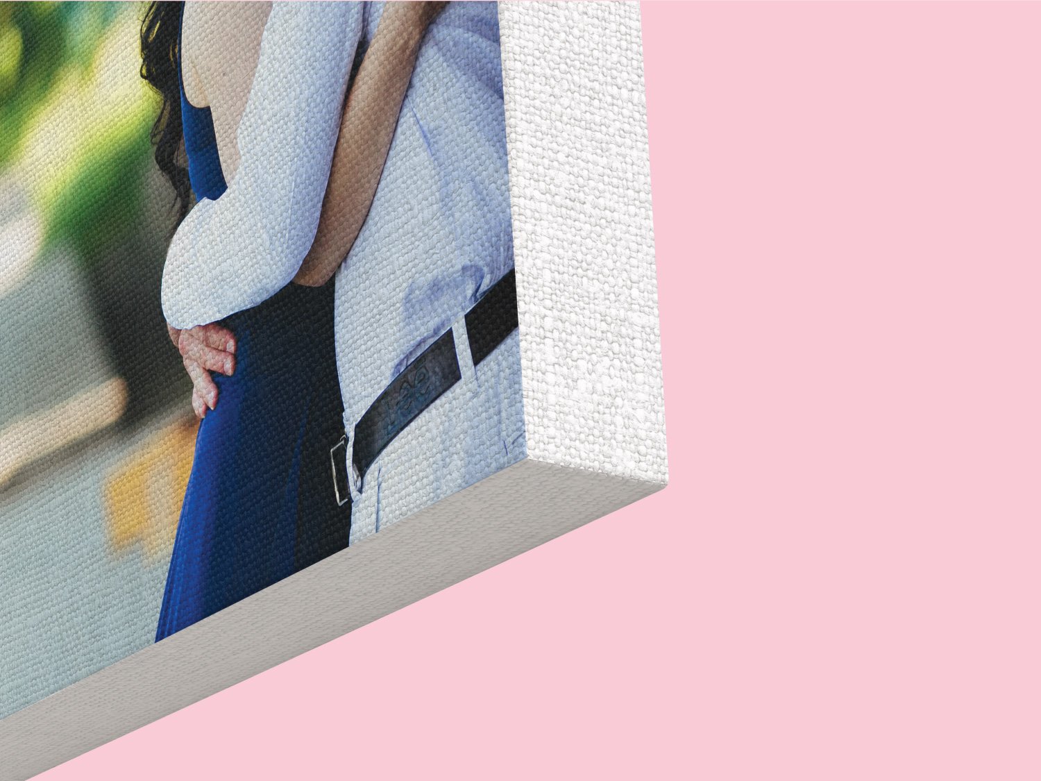 Canvas Wall Collection - One - MeriDeewar