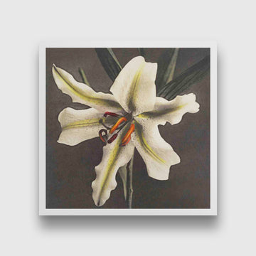 Lily Painting
