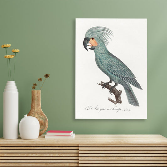 The Palm Cockatoo Painting - Meri Deewar
