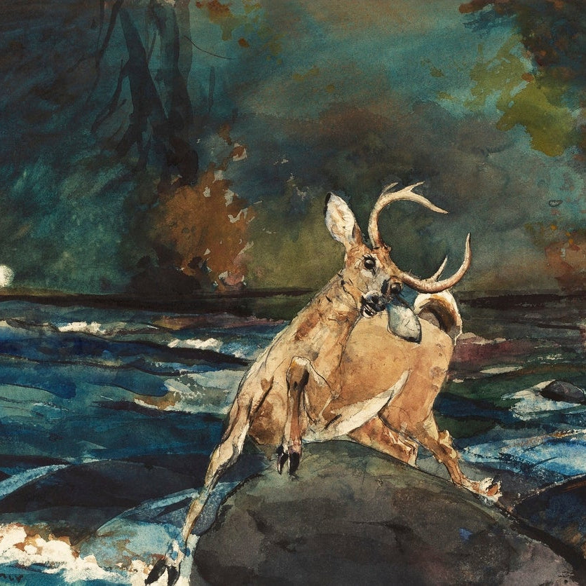A Good Shot Adirondacks painting - Meri Deewar 3 : 2 Horizontal Premium Wall Art Canvas by MeriDeewar