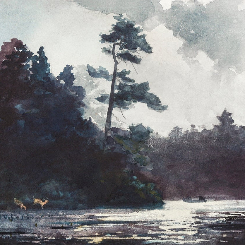 Adirondack Lake painting - Meri Deewar 3 : 2 Horizontal Premium Wall Art Canvas by MeriDeewar