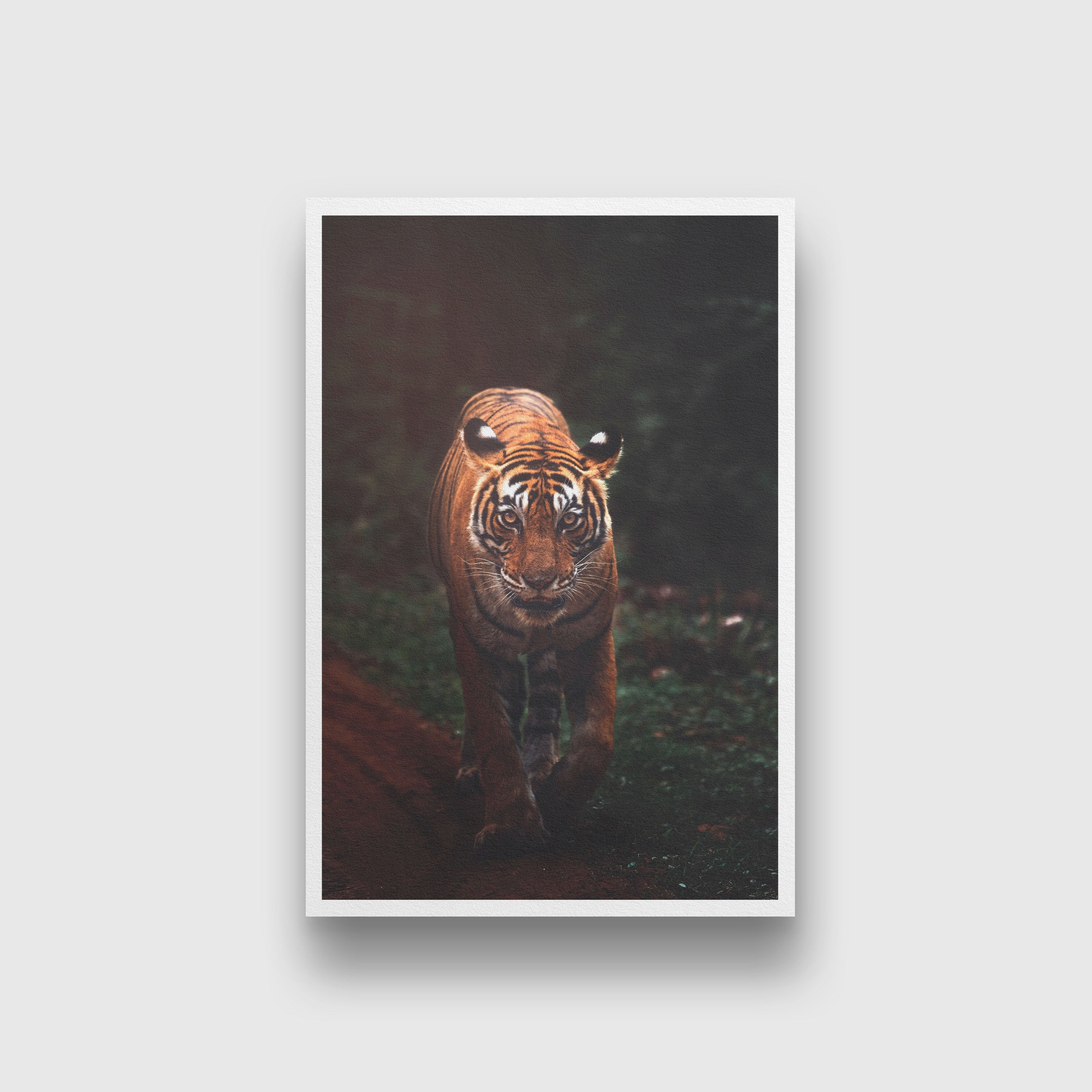 Bengal tiger walking Painting-Meri Deewar 2 : 3 Vertical Premium Wall Art Canvas by MeriDeewar