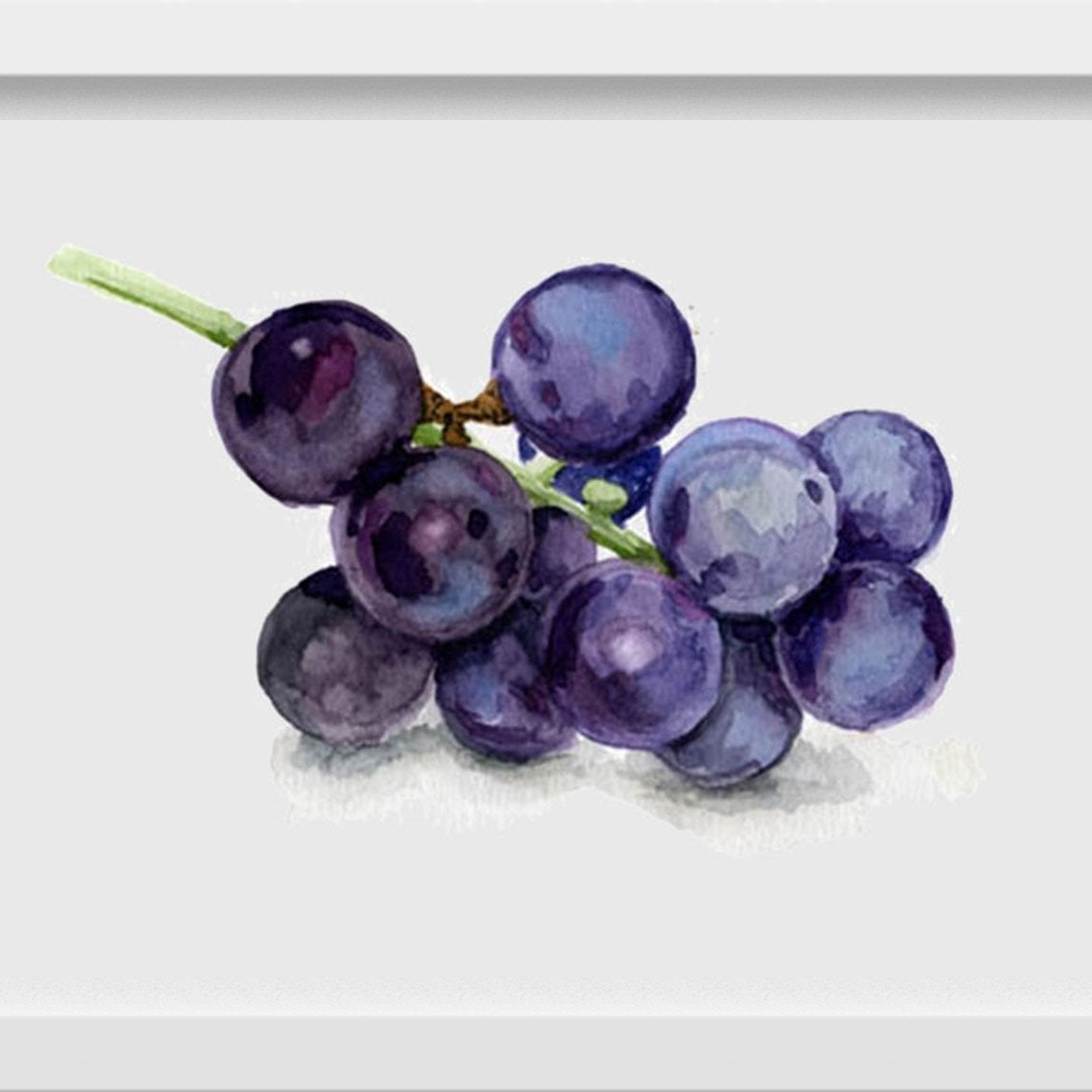 Black Grapes Painting-Meri Deewar 3 : 2 Horizontal Premium Wall Art Canvas by MeriDeewar