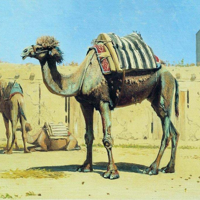 Camel in the courtyard Painting-Meri Deewar 3 : 2 Horizontal Premium Wall Art Canvas by MeriDeewar