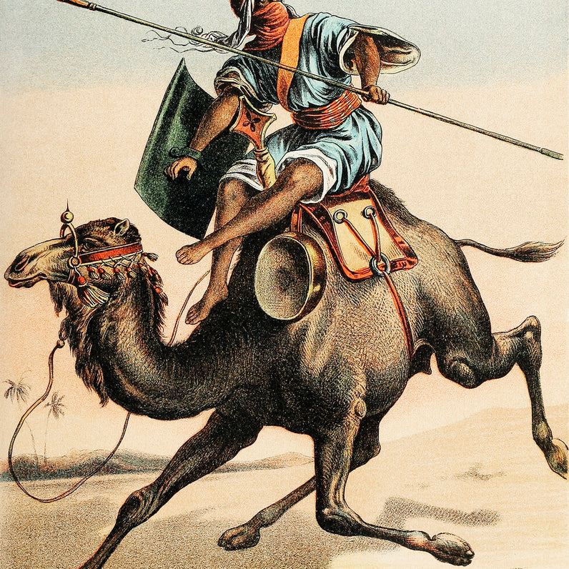 Camel - painting 3 : 4.2 Vertical Premium Wall Art Canvas by MeriDeewar